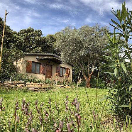 Casas de Belvis La Cerca Del Alcornoque旅馆 外观 照片