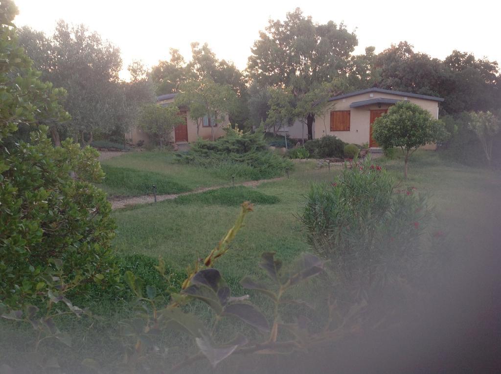 Casas de Belvis La Cerca Del Alcornoque旅馆 外观 照片