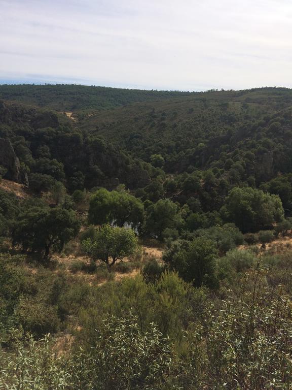Casas de Belvis La Cerca Del Alcornoque旅馆 外观 照片