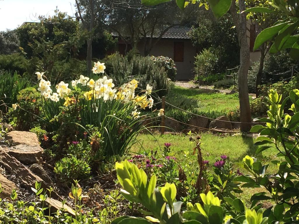 Casas de Belvis La Cerca Del Alcornoque旅馆 外观 照片