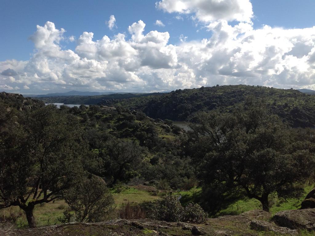 Casas de Belvis La Cerca Del Alcornoque旅馆 外观 照片
