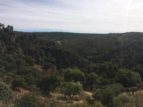Casas de Belvis La Cerca Del Alcornoque旅馆 外观 照片